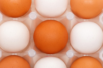 Image showing Eggs in box