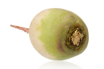 Image showing Fresh radish