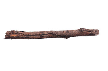 Image showing Tree branch