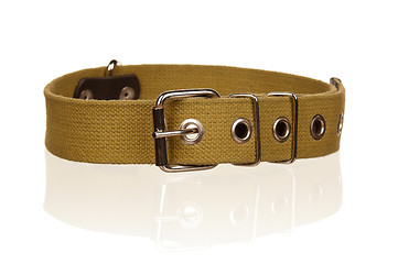 Image showing Dog collar