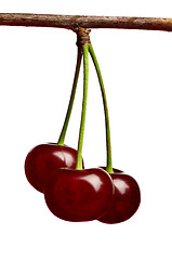 Image showing Sweet cherries