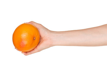 Image showing Hand with grapefruit