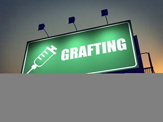 Image showing Grafting - Billboard on the Sunrise Background.