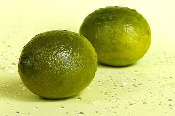 Image showing Lime (fruit)