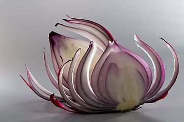 Image showing Slices of red onion