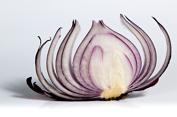 Image showing Slice of red onion