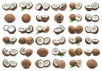 Image showing Coconuts