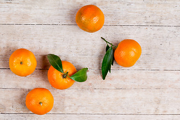 Image showing five tangerines with leaves 