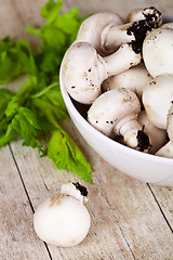 Image showing  fresh champignons with parsley in a bowl 
