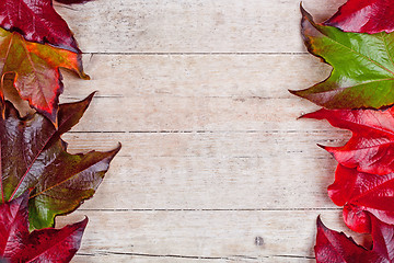 Image showing  frame of autumn leaves 