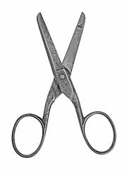 Image showing vintage craft household scissors