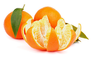 Image showing Tangerine with Segments