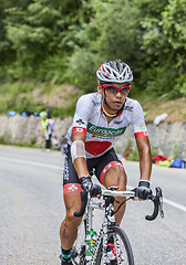 Image showing The Cyclist Yukiya Arashiro