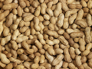 Image showing lots of peanuts