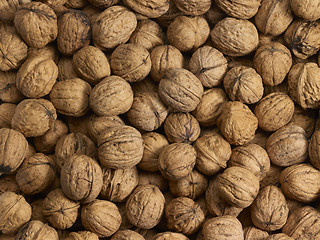 Image showing Walnuts