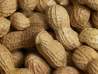 Image showing Peanuts