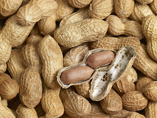 Image showing Peanuts