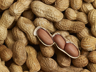 Image showing Peanuts