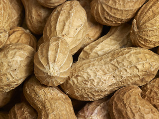 Image showing Peanuts