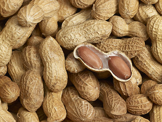 Image showing Peanuts