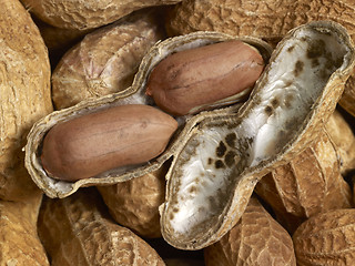 Image showing Peanuts