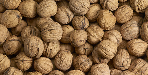 Image showing Walnuts