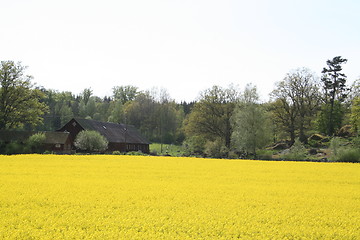 Image showing Landscape in Sweden