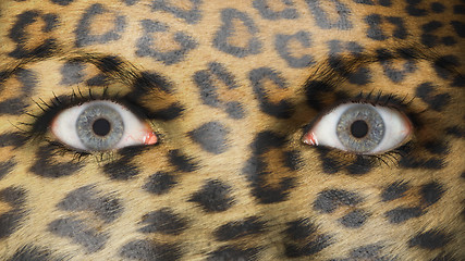 Image showing Women eye, close-up, leopard