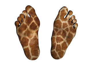 Image showing Human feet with print