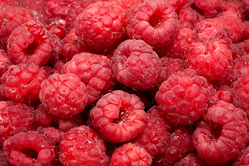 Image showing Raspberries