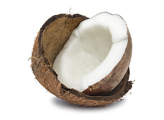 Image showing Coconut