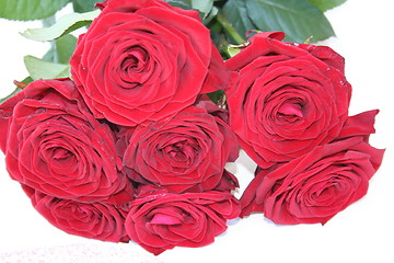 Image showing Red roses