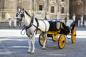 Image showing White horse and traditional tourist carriage in Sevilla