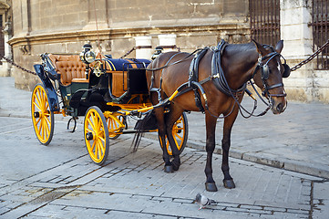 Image showing Black  horse and traditional tourist carriage in Sevilla