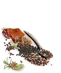 Image showing Spices And Herbs