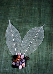 Image showing Transparent leaf and small stones