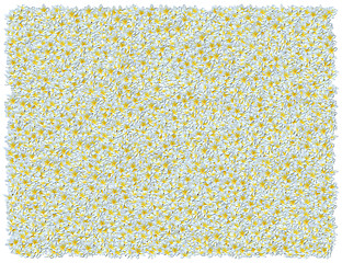 Image showing Frangipani background. From The Floral background series