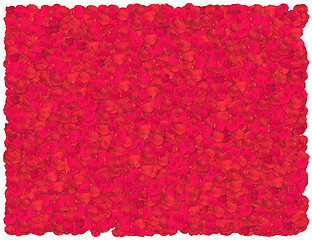 Image showing Red Roses Petals background. From The Floral background series