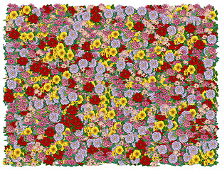 Image showing Colorific Floral background. From The Floral background series
