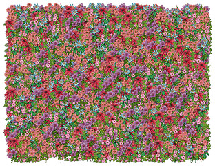 Image showing Colorific Floral background. From The Floral background series