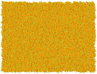 Image showing Butter scotch background. From the Food background series