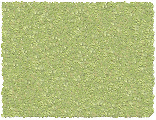 Image showing Lime beans background. From the Food background series