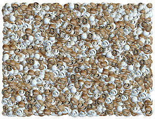 Image showing Mushrooms background. From the Food background series