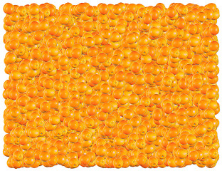 Image showing Oranges background. From the Food background series