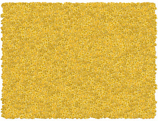 Image showing Pasta shells background. From the Food background series