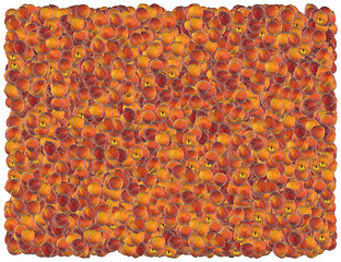 Image showing Peaches background. From the Food background series