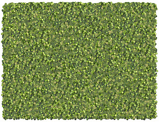 Image showing Split peas background. From the Food background series