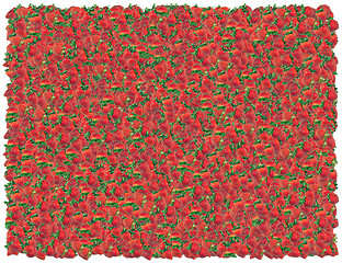 Image showing Strawberries background. From the Food background series