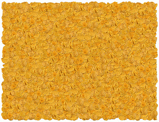 Image showing Tortilla chips background. From Food background series