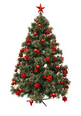 Image showing Christmas tree isolated